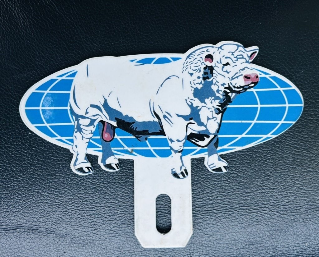 BRAHMA COW LICENSE PLATE TOPPER SS: 5 1/2" X 4 1/2" SS