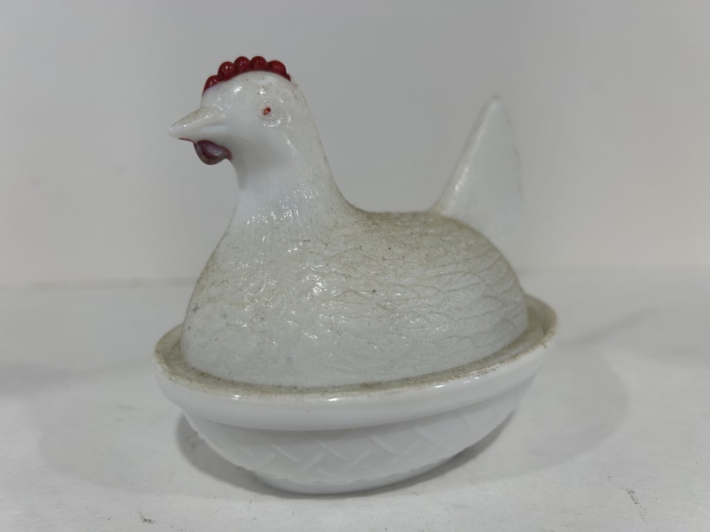 WHITE WESTMORLAND HEN ON NEST (1 of 6)