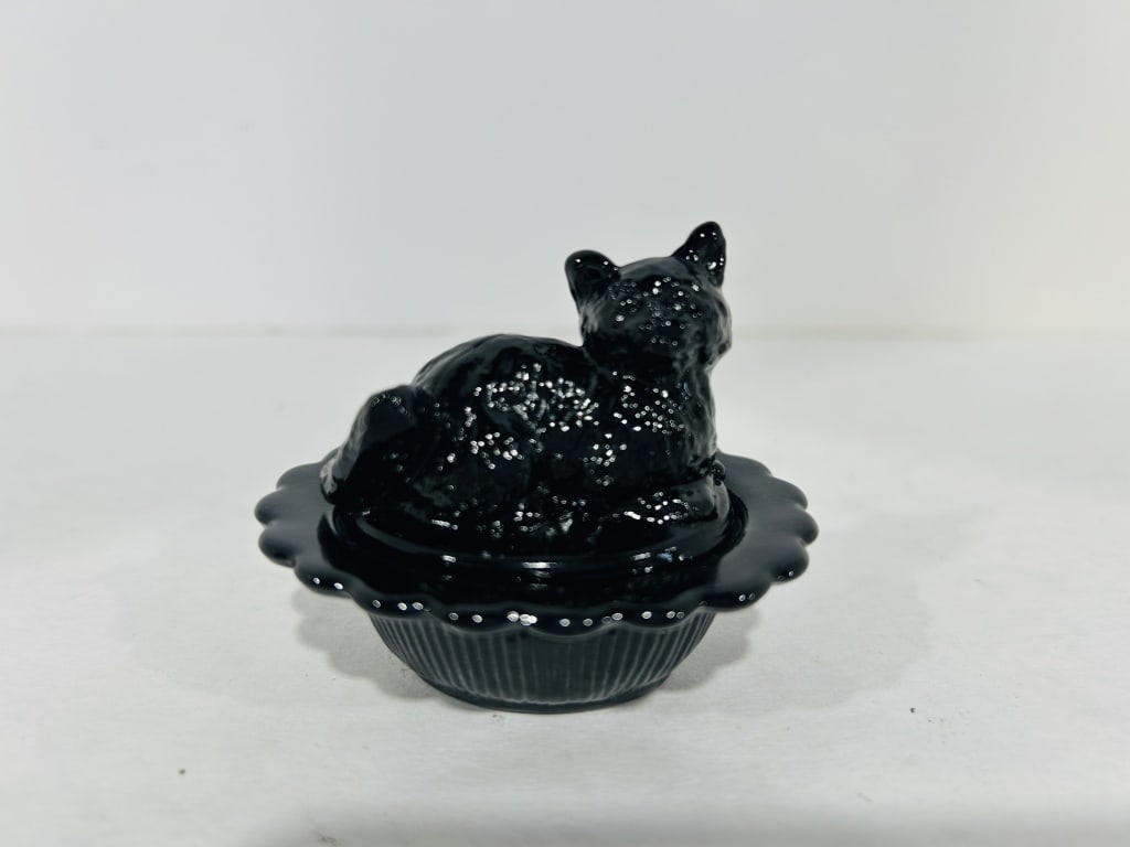 MADDIES CAT RESCUE X MOSSER MINI CAT ON NEST (1 of 4)