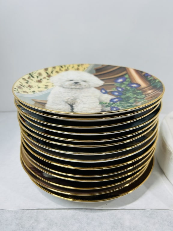 A Collection of 14 The Danbury Mint Bichons Frise Porcelain Collector Plates by Michele Amatrula: A collection of 14 decorative porcelain collector plates from the collection entitled Bichons Frise, produced for The Danbury Mint. Each plate features full-color transfer-decorated illustrations by a