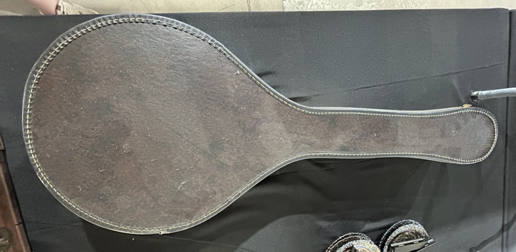 Dixon Six-String Guitar-Banjo with Hardshell Case (1 of 5)