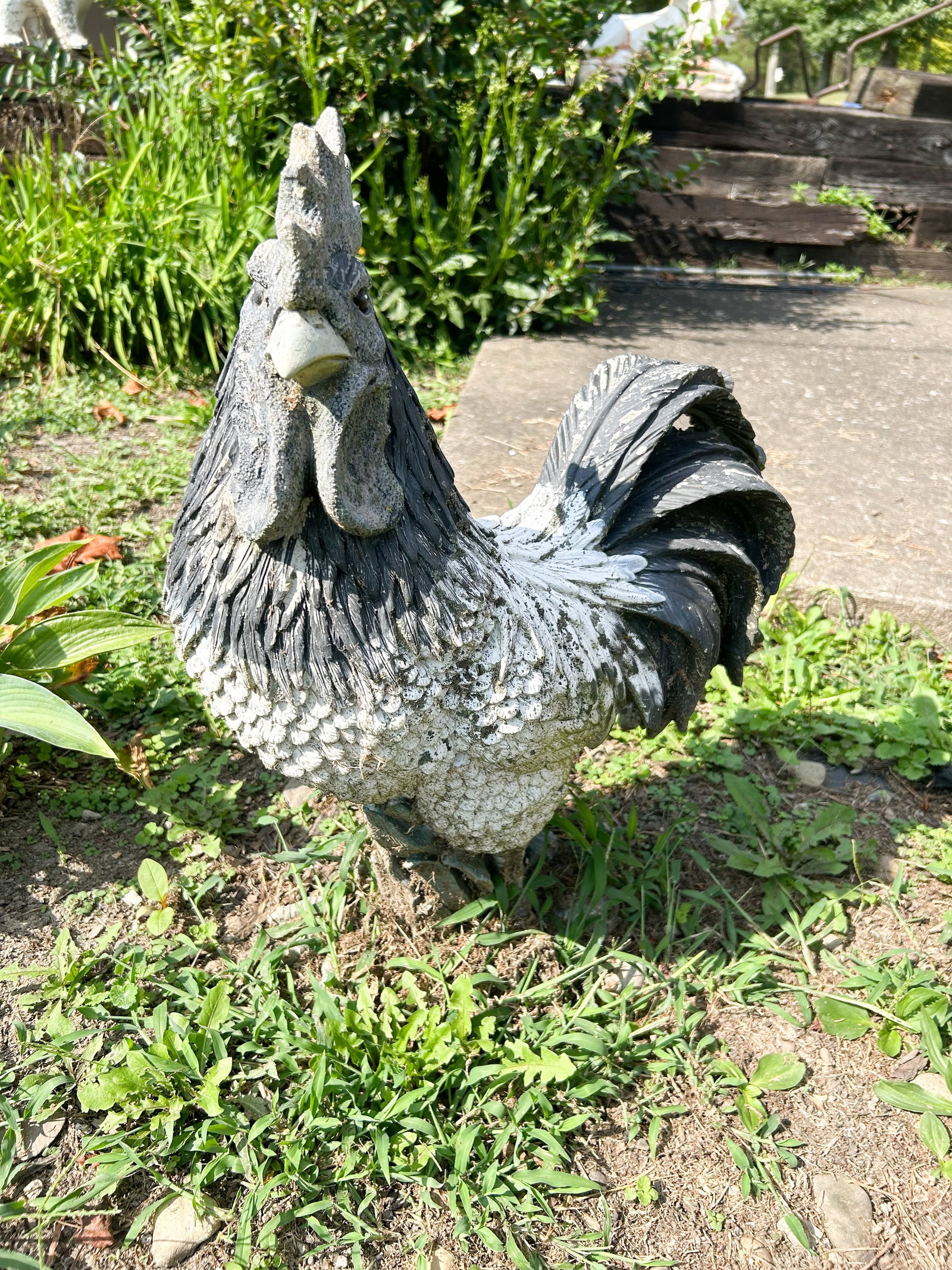 CAST CONCRETE STANDING ROOSTER STATUE (1 of 3)
