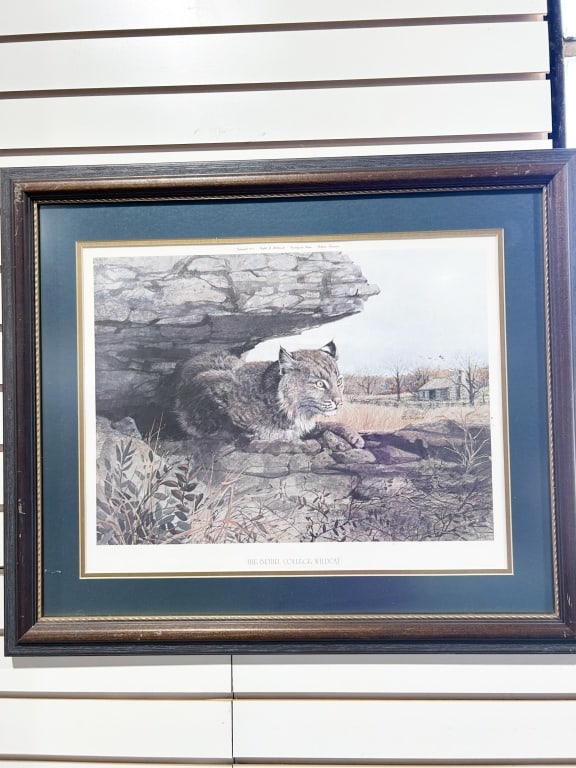 RALPH J. MCDONALD, THE BETHEL COLLEGE WILDCAT LITHOGRAPH, 1977: A limited edition color lithograph titled THE BETHEL COLLEGE WILDCAT by artist Ralph J. McDonald. The work is signed in pencil R.J. McDonald and numbered 1223/1500 in the lower right corner, with a pr