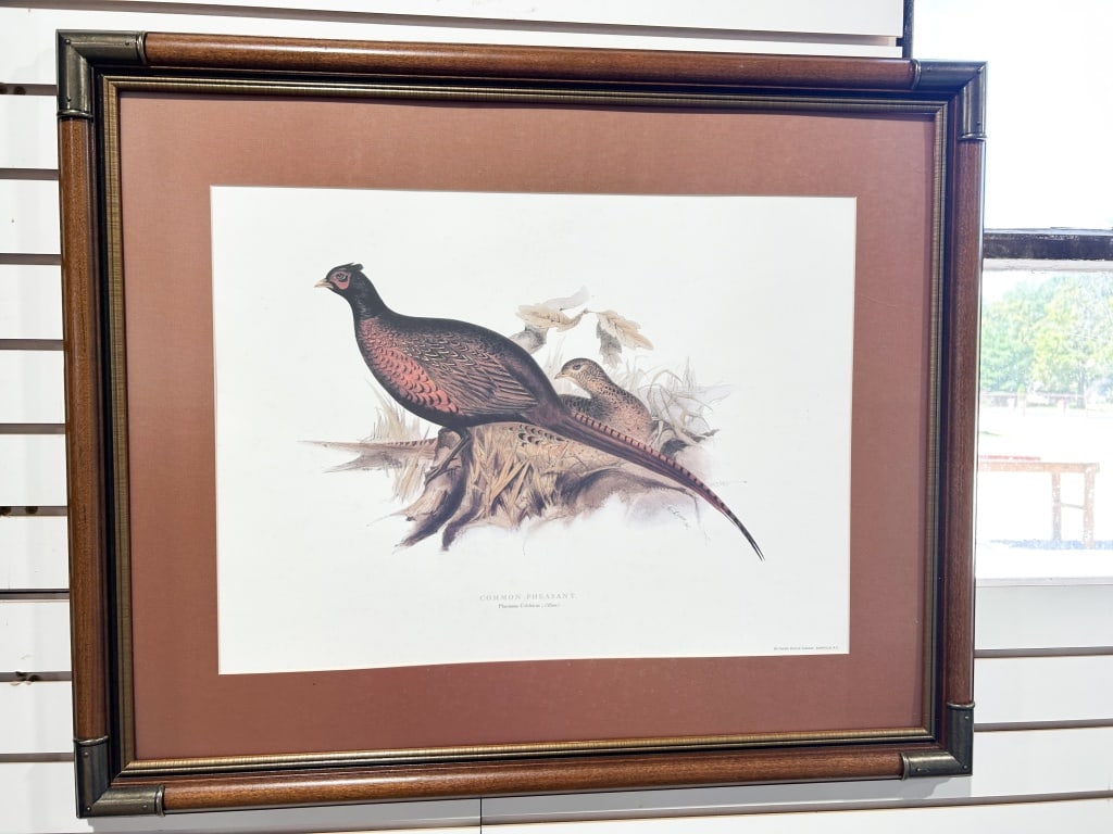 EDWARD LEAR COMMON PHEASANT LITHOGRAPH: Framed color lithograph after an original illustration by Edward Lear, depicting a male and female common pheasant. The plate bears the printed credit E. Lear. del. at the lower right and is titled CO