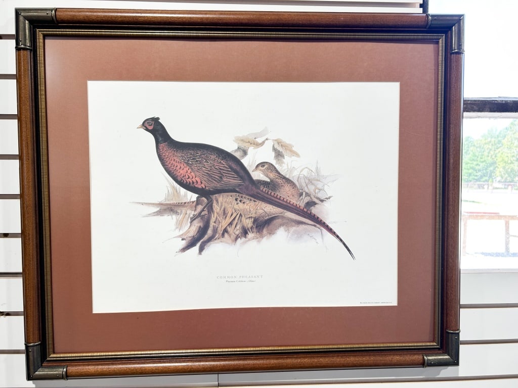 EDWARD LEAR COMMON PHEASANT LITHOGRAPH - 2