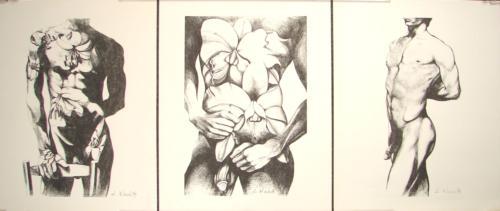 Suite of 3 Male Nude Art Prints Lowell Nesbitt Gay: Offered here is a suite of three signed limited edition prints by well-known contemporary gay artist Lowell Nesbitt (United States, 1933 - 1993). Generally better known for his larger-than-life painti