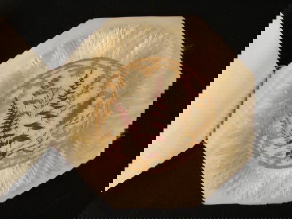 Victorian Pressed Foliage Leaves Decorative Art: These are 5 hand crafted designs of pressed foliage. They were most likely done around the Victorian period. Each display is set on a mesh backing, with 5 inch diameter round paper border, in which fu