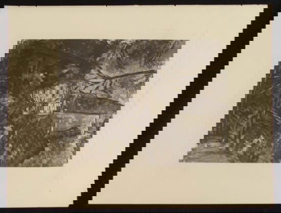 Paul Cezanne Le Chateau Noir Heliogravure Print 1914: This Cézanne print is a 1914 heliogravure, which is the oldest process of photographic engraving. The scene portrays a house through the trees. The perspective is quite different for its time.