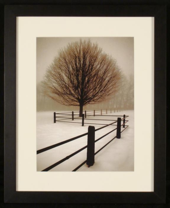 Tree and Fence Winter Scene Nature Photograph Framed: This photograph centers on a lone tree on a snowy winter's day, alongside a zigzag fence. Medium: Photographic print on paper Image size: 10 x 13 3/4 inches Framing: Matted in white, in matte black la