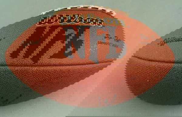 Atlanta Falcons Michael Vick Signed NFL Football: This football was signed by members of the Atlanta Falcons, includiong Michael Vick. The autographs are in black marker, and are a little light, but still clear. The ball is a Wilson Official Pro-Tack