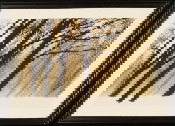 Winter Forest Trees Nature Photograph Framed: This photograph shows a forest in the winter, with snow covered ground, and tree branches that fade into the background. Medium: Photographic print on paper Image size: 14 1/4 x 24 1/4 inches Framing: