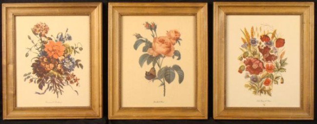 3 Vintage 1920s Botanical Prints Flowers Framed: Here are 3 vintage prints portraying some favorite flowers. Titles: "Anemone & Cornflowers," "Butterfly & Roses," "Field Flowers & Wheat" Image size: 8 1/2" x 10 1/2" Framing: In natural tone wood fra
