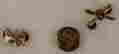 item-9004245=7
