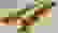 item-9262866=2