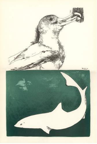 Leonard Baskin LE Lithograph SEAGULL AND THE SHARK Art: Offered here is an unsigned, limited edition lithograph by Leonard Baskin from the artist's Moby Dick Suite : Title: "Seagull and Shark" Lithograph printed in two greens and black on BFK Rives 1970 Un