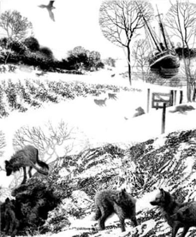 Peter Milton LIGHT SWEET CRUDE Signed Etching 1996 Art: Peter Milton, considered by many to be among the outstanding printmakers of the age, is the artist: Title: "Light Sweet Crude" 1996 Etching and aquatint on cream colored Somerset paper 15 × 18 Si