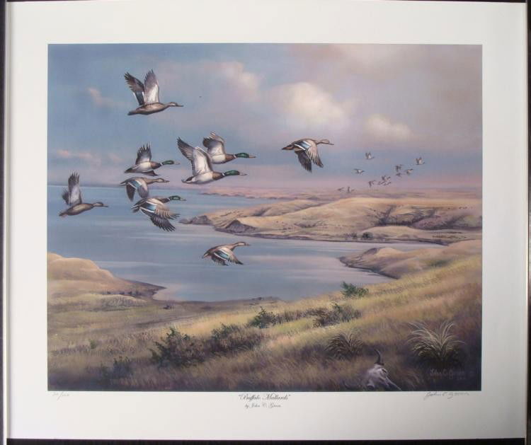 John C. Green Signed Ducks Art Print Buffalo Mallards: This vivid wildlife painting shows mallard ducks flying over a wind-swept landscape. * * Title: "Buffalo Mallards"Artisit: John C. GreenSignature: In pencil, lower right * Condition: ExcellentSi
