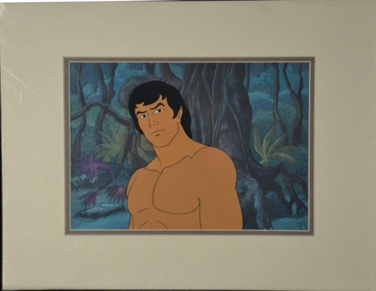 Tarzan Original Animation Production Cel Portrait: This is an original animation cel used in the production of the 1970's Filmation animated series Tarzan, Lord of the Jungle. This cel shows Tarzan in a nice portrait shot. * Medium: Hand painted cel a