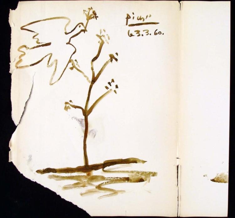 Picasso Original Drawing Signed on Book Jacket Dove: Here is an original Picasso drawing, signed and dated by the artist. The drawing was done on the opposite side of the dust jacket to a book. The image is a dove with an olive branch flying toward a tr