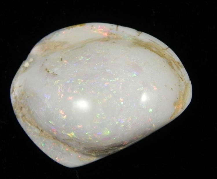 Opalized Fossil Clam Shell Opal MultiColor 43.5 Ct