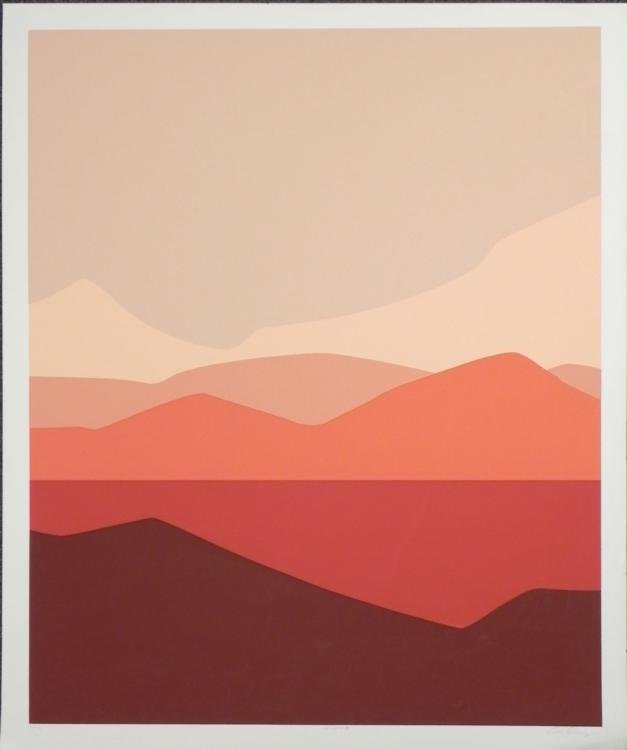 Doug Danz Signed Abstract Landscape Art Print Canyon B: The deep ridges of a canyon are shown in varoious hues and abstract layers. * * Title: Canyon BArtist: Doug DanzSignature: Signed in pencil by the artist, lower rightMedium: Print on paperEdition: 95/