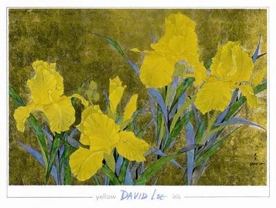 David Lee Art Prtin Yellow Iris: Artist: David LeeTitle: Yellow IrisMedium: PrintSize: 35 1/2" x 47" * Condition: ExcellentBiography * David Lee is a Chinese - American artist David Lee was born in Canton, China * in 1944. David Le