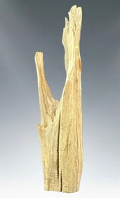 Monumental Reclaimed Sinker Cypress Sculpture, 32" Wabi-Sabi Found Art