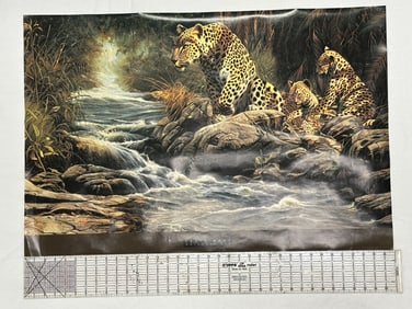 Wildlife Art Print “Watchful Eye?? by Craig Bone