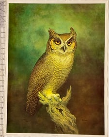 Vintage Owl Poster Signed by Rippl #168/600