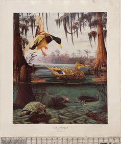 Southeast Wildlife II by Brad Thompson- Limited Edition Signed Print #1056/1500