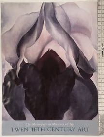 The Metropolitan Museum of Art Twentieth Century Art Poster