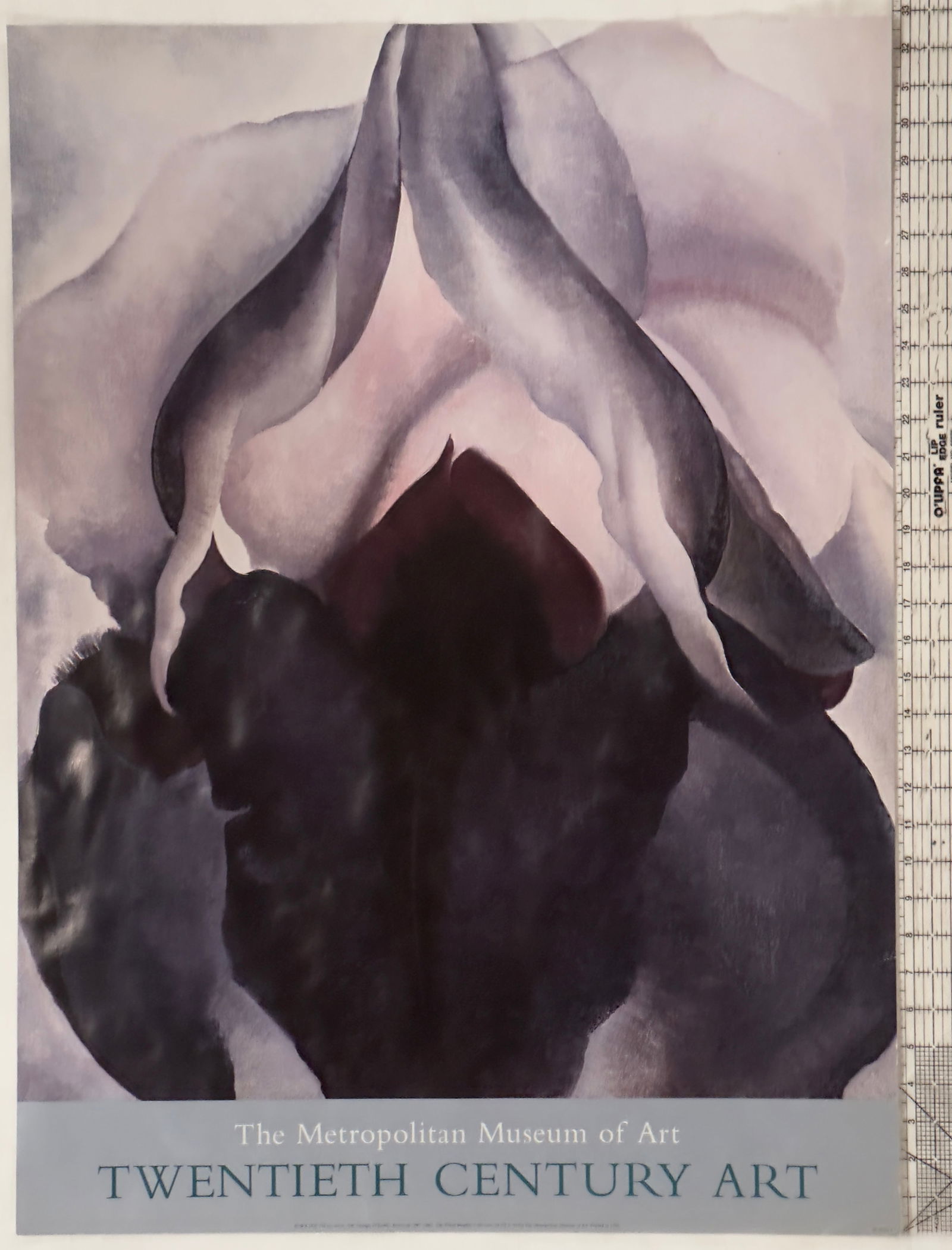 The Metropolitan Museum of Art Twentieth Century Art Poster (1 of 1)