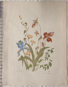 Vintage Floral Design Botanical Print Signed by Moran