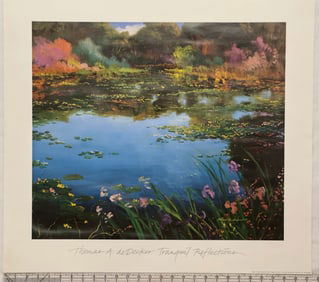 Thomas A. deDecker 'Tranquil Reflections' Poster Print
