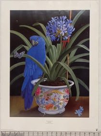 Limited Edition Print 'Macaw and Hyacinth' by Lizzie Riches