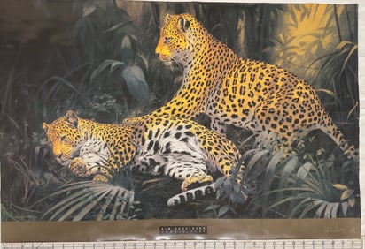 Kim Donaldson 'Jungle Play' Wildlife Print