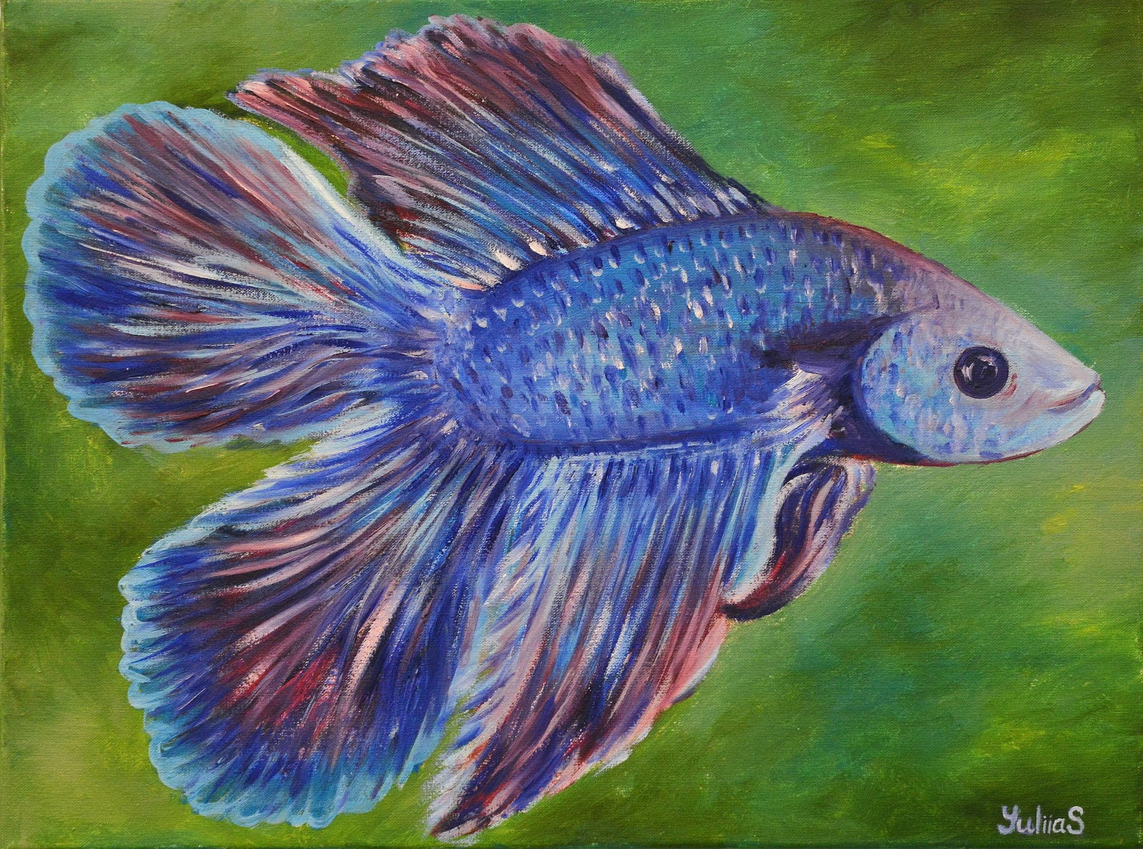 Vibrant Betta - Yulias, Oil on Canvas: Oil on canvas by Yulias depicting a blue and purple betta fish against a green background. Framed; framed size: 14" H x 16" W