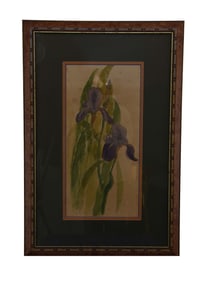 Vibrant Purple Irises - Unknown Artist, Watercolor