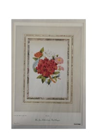 Floral Bouquet - Mrs. Jane Webb-London, Lithograph