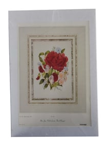 Floral Bouquet - Mrs. J.W. Loudon, Lithograph