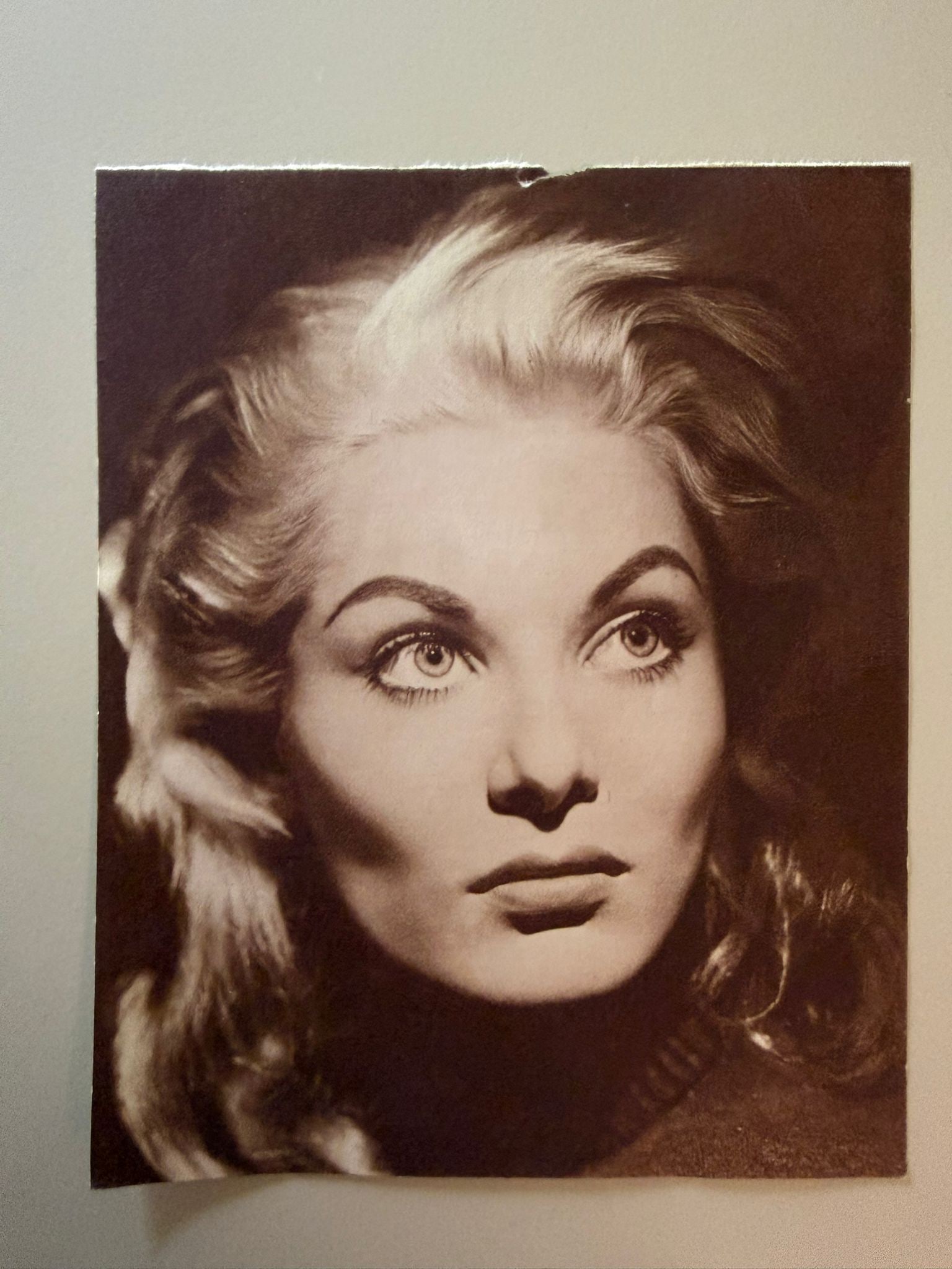Belinda Lee – Vintage Silver Gelatin Portrait, ca. 1950s - Kim Goodwin Private Collection (1 of 2)