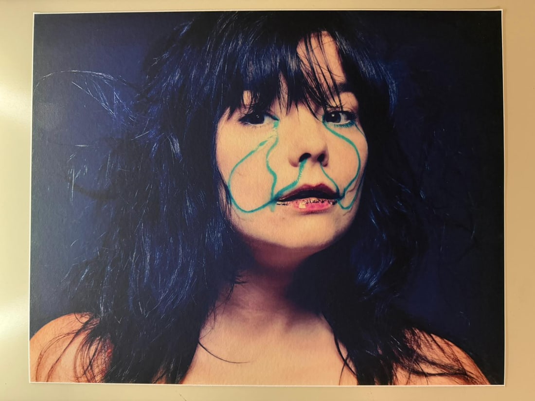 Inez and Vinoodh – Björk “Poisson_Nageur” Signed Limited Edition Pigment Print (1 of 2)