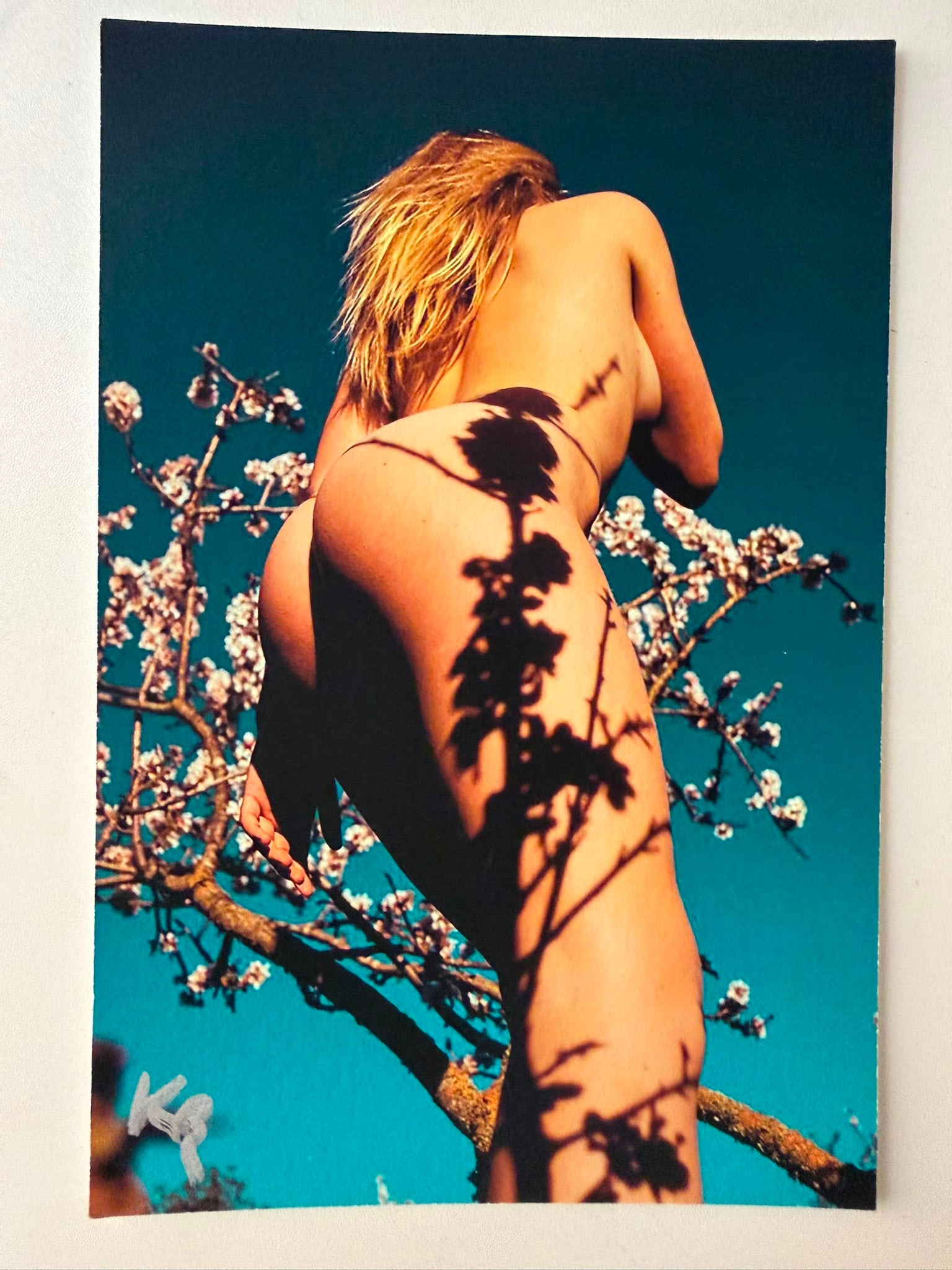 Kate Bellm – Blossom Shadow Nude (Floral Play Series) | Fine Art Photographic Print (25x17 cm) –: Kate Bellm (Contemporary Photographer)Title: Sunlit Blossoms & Silhouette StudyMedium: Fine Art Photographic Print on Heavyweight Textured StockDimensions: 25 x 17 cm (approx. 9.8 x 6.7 inches)Signatu