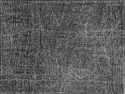 Dorothy Napangardi, Mina Mina, 2004: Dorothy Napangardi (1956 - 2013) Mina Mina , 2004 synthetic polymer on linen 91 x 122 cm PROVENANCE Gallery Gondwana, NT Metro Five Gallery, Vic Private Collection, Vic ARTWORK STORY When, in 199