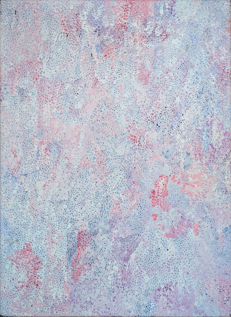 Kathleen Ngal(e), Arnwekety - Bush Plum , 2009 (1 of 1)