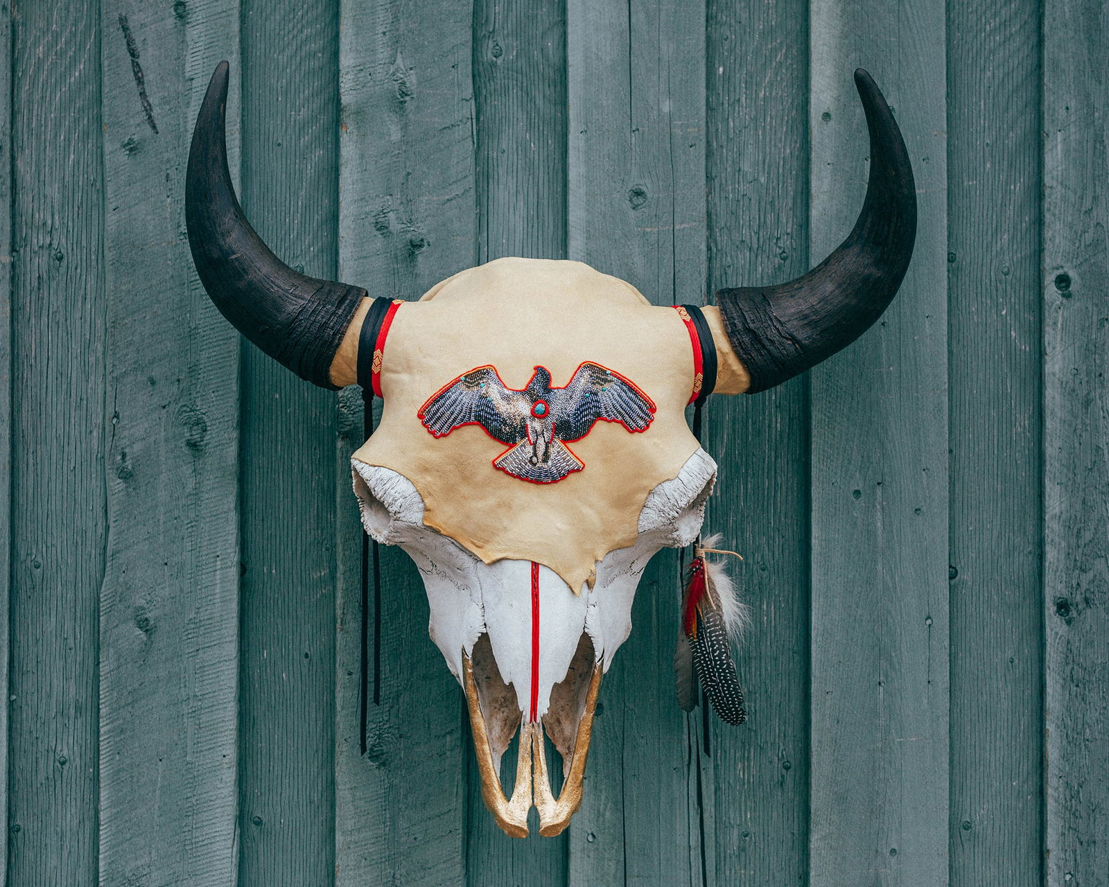 Amber Schmidt Bison Skull: Sundown Osprey (1 of 2)