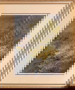 Mary DeLoyht-Arendt, (1927-2020), Untitled (Pablo Verde Tree and Saguaro), Watercolour, 2004: Mary DeLoyht-Arendt, (1927-2020), Untitled (Pablo Verde Tree and Saguaro), Watercolour, 2004. Size 21" x 28". Scottsdale painter Mary DeLoyht-Arendt earned a degree in art history and worked as a