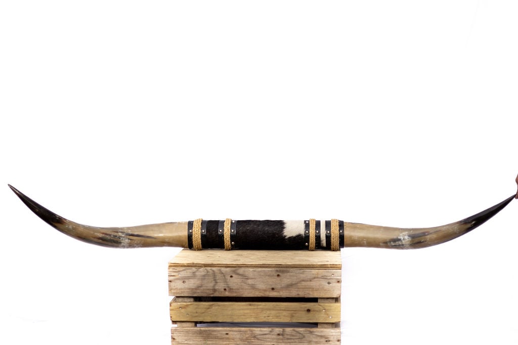 Set of Longhorns (1 of 2)