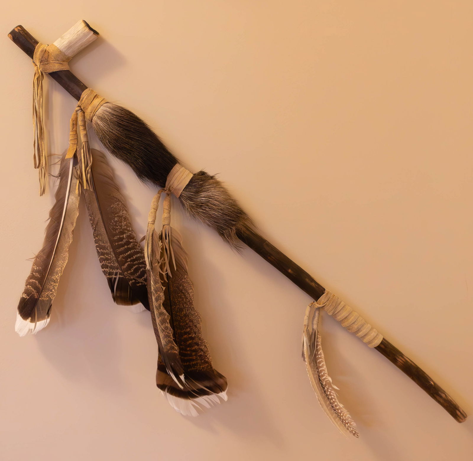 Native American Peace Pipe (1 of 1)