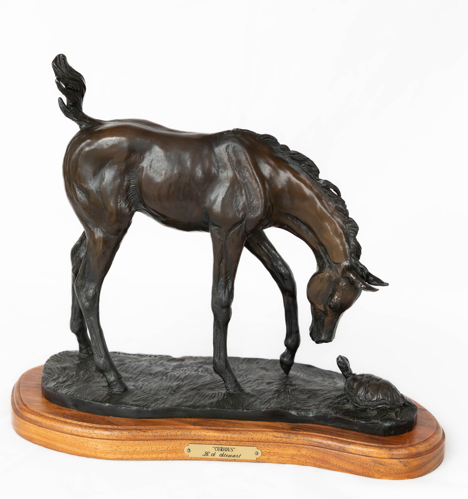 Linda Stewart (B. 1950), Curious, Bronze (1 of 2)